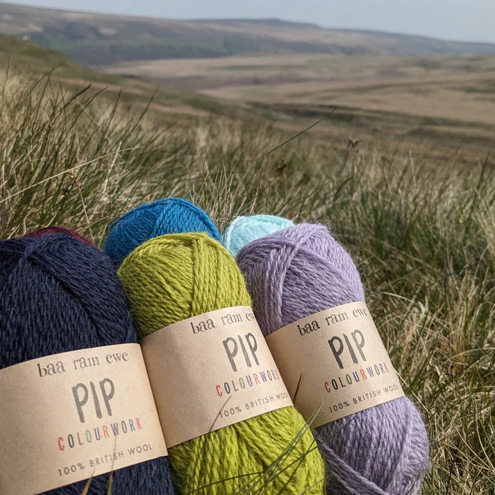 Baa Ram Ewe 4ply - 085 Hirst (100% British Wool)