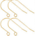 Ear Wire Hooks with Ear Nuts - Gold