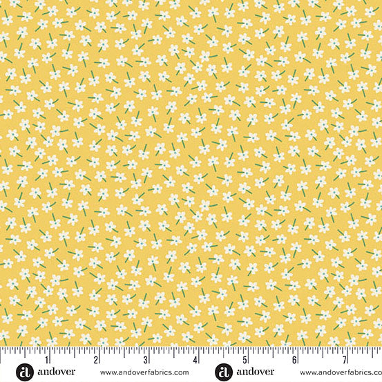 Whimsy by Kim Schaefer- Fat Quarter Bundle 24 pieces