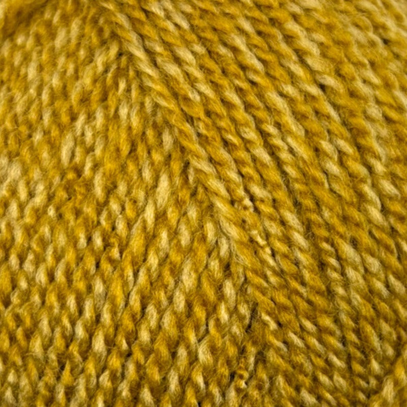 Stylecraft Special Double Knit - Honey Mix - 2194