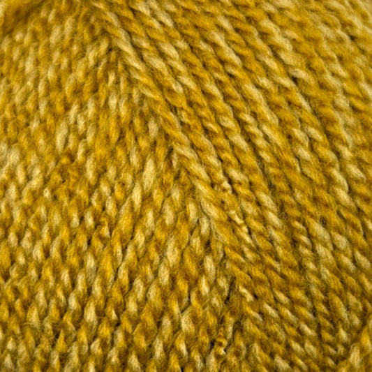 Stylecraft Special Double Knit - Honey Mix - 2194