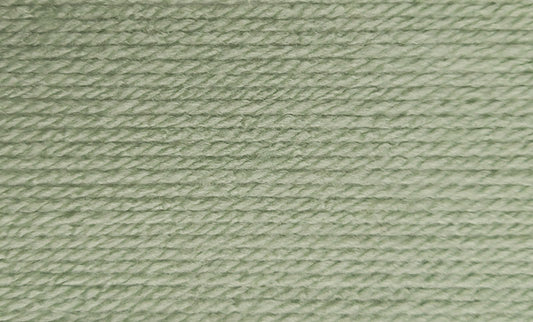Wendy Supreme Chunky - SK61 Aloe