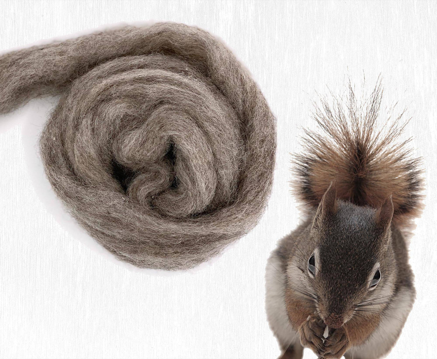 Wool Top/Roving