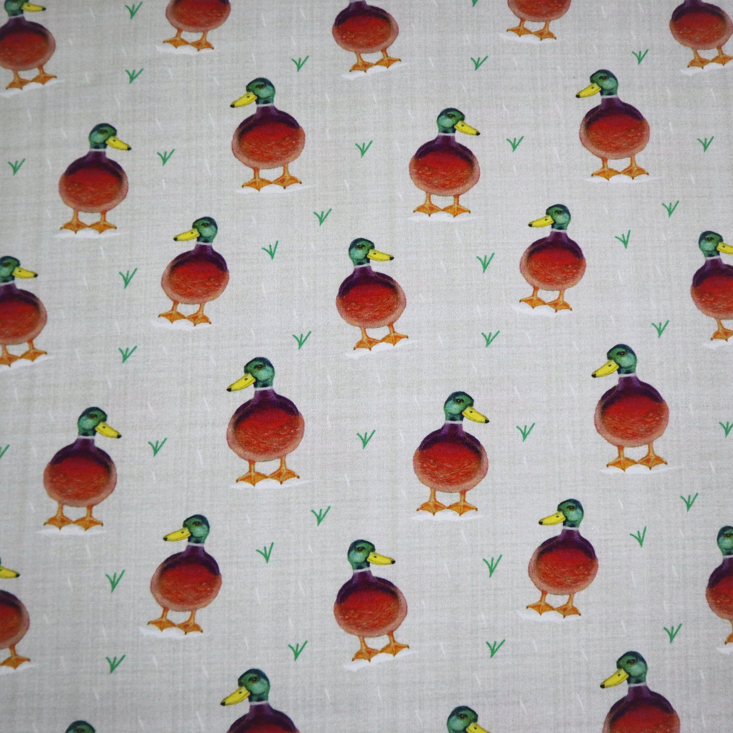 SALE Organic Cotton Jersey in Duck Print