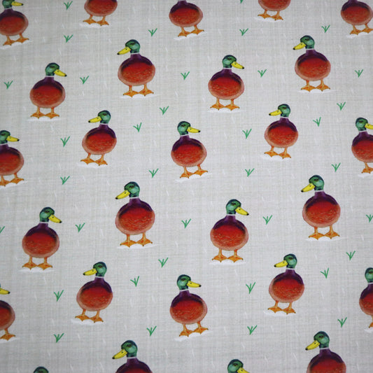SALE Organic Cotton Jersey in Duck Print