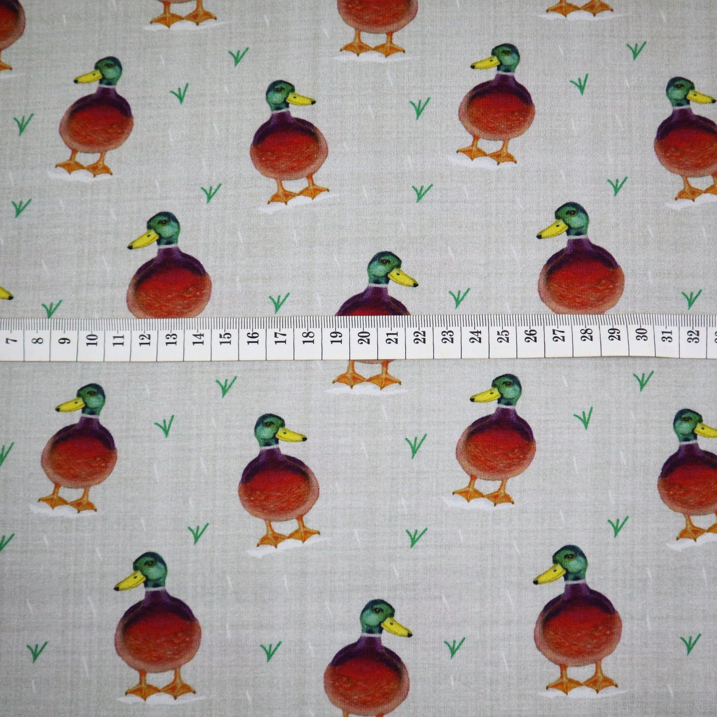 SALE Organic Cotton Jersey in Duck Print