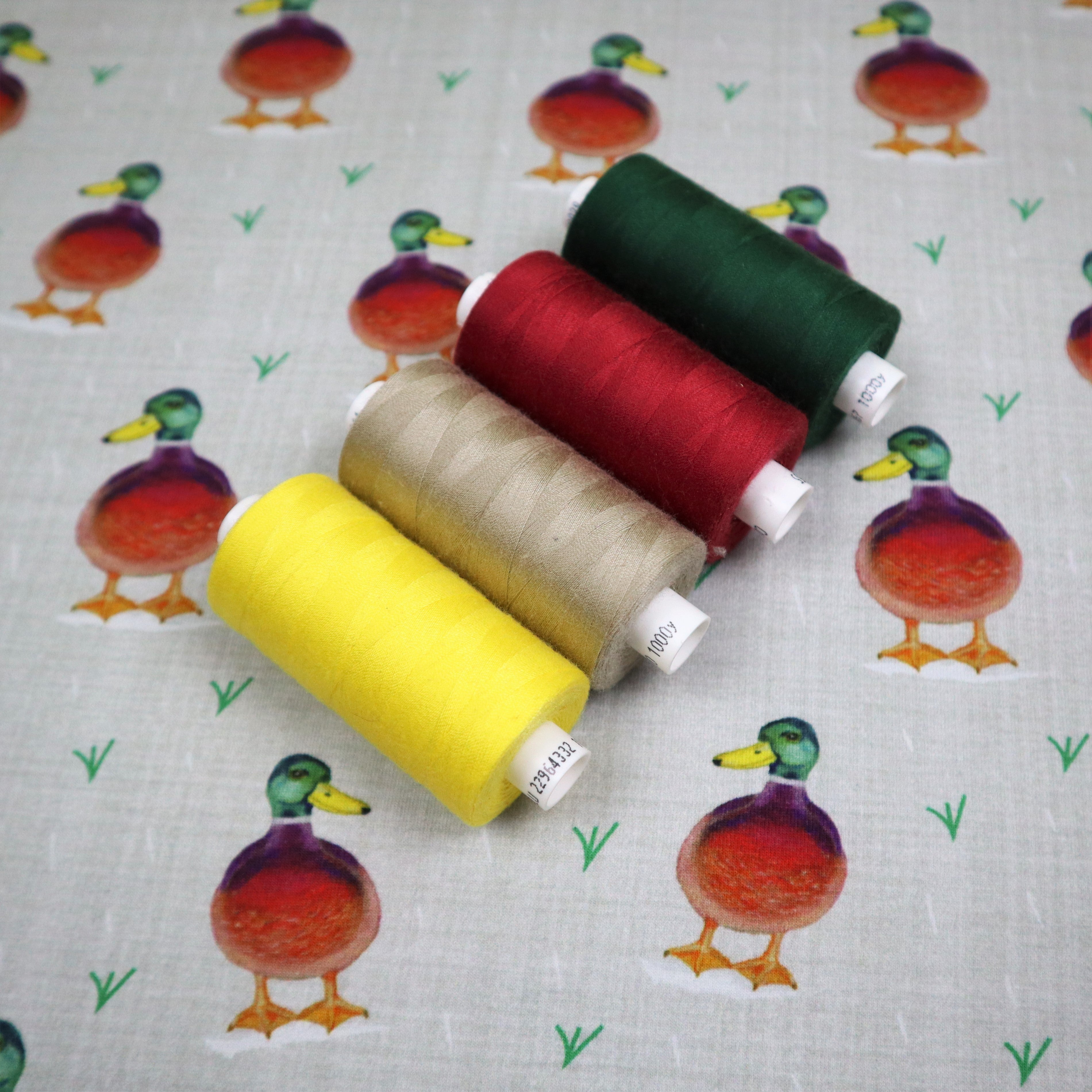 SALE Organic Cotton Jersey in Duck Print